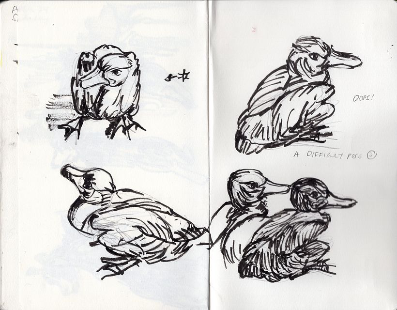 My project in Daily Sketching for Creative Inspiration course 2