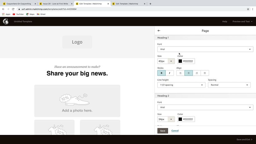 Edite facilmente a fonte, seu tamanho, cor e muitos outros aspectos da newsletter
