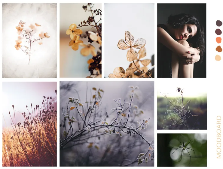 Mood board in the initial stage.