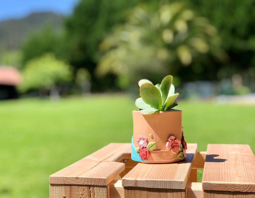 Pachamamas - Diseño de complementos