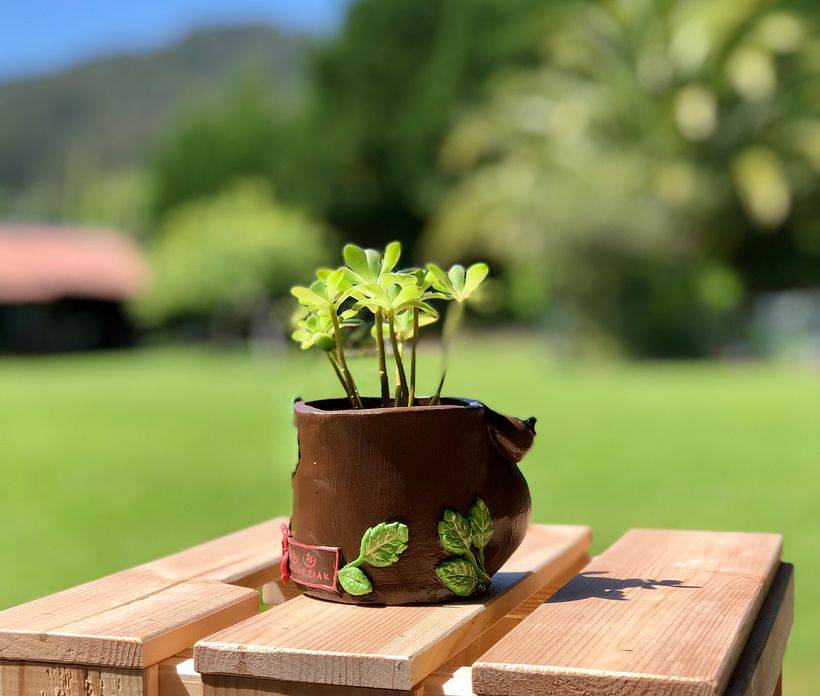Pachamamas - Diseño de complementos