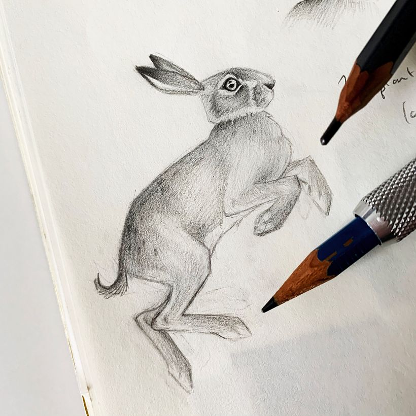 Hare on Green 4