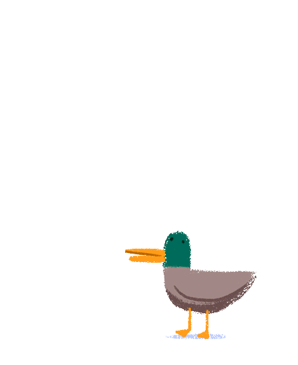 Personal animations 14