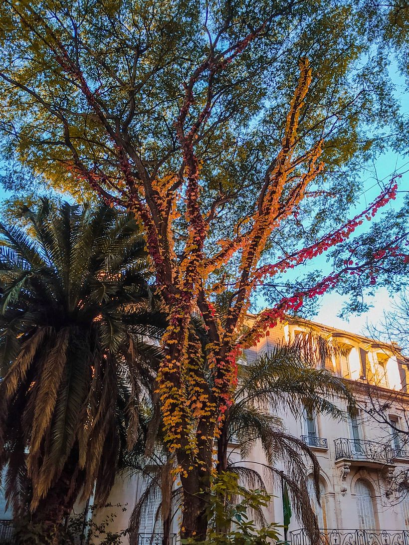 Mi Proyecto del curso: Composición y edición fotográfica para Instagram 7