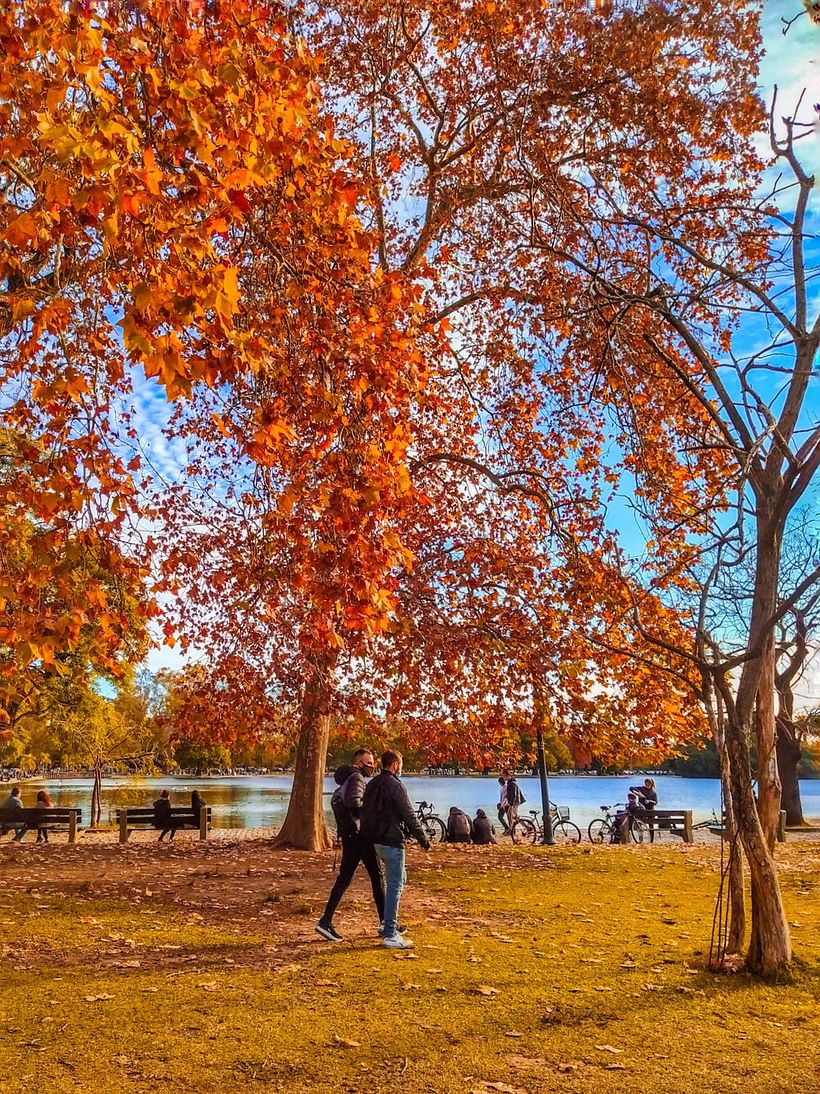 Mi Proyecto del curso: Composición y edición fotográfica para Instagram 2