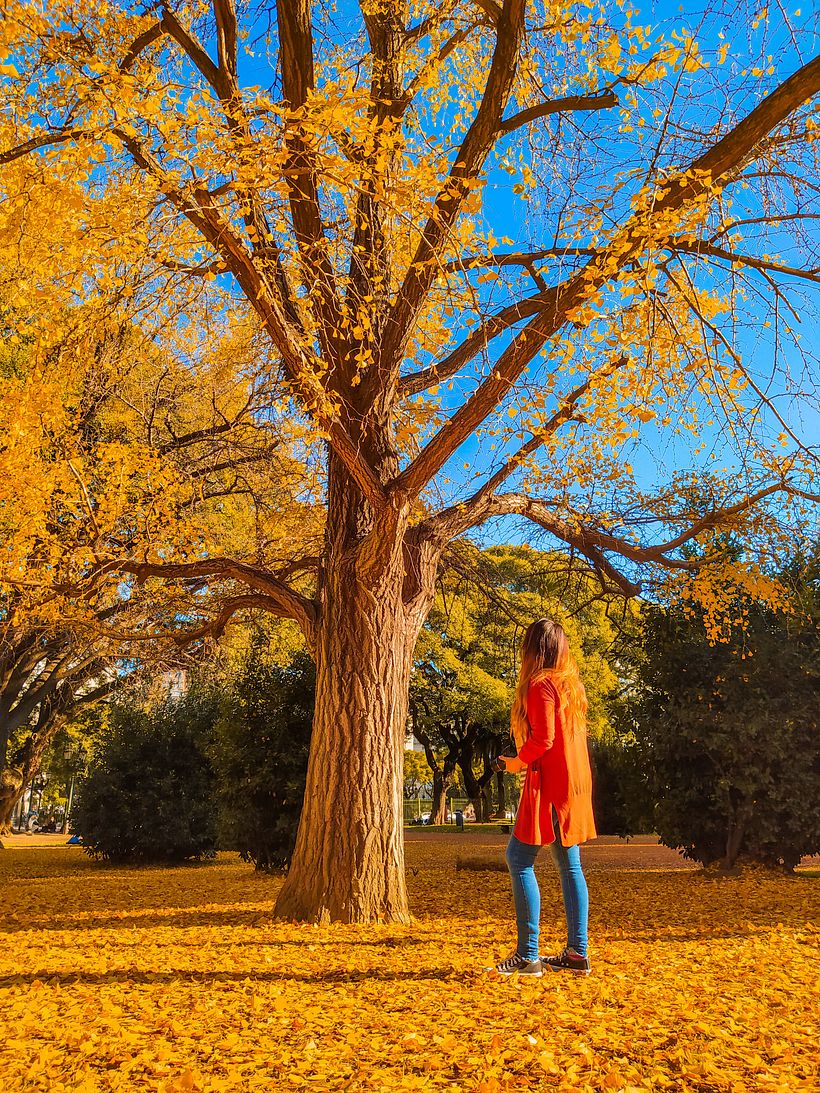 Mi Proyecto del curso: Composición y edición fotográfica para Instagram 6