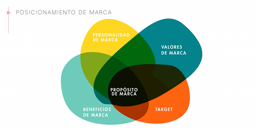 Modelo de negocio en una estrategia de posicionamiento en Instagram.