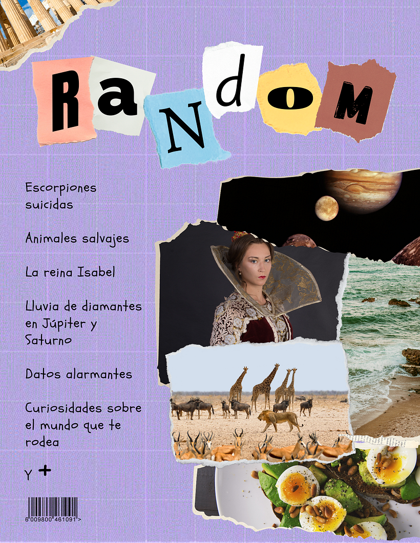 Revista: Datos Random 1