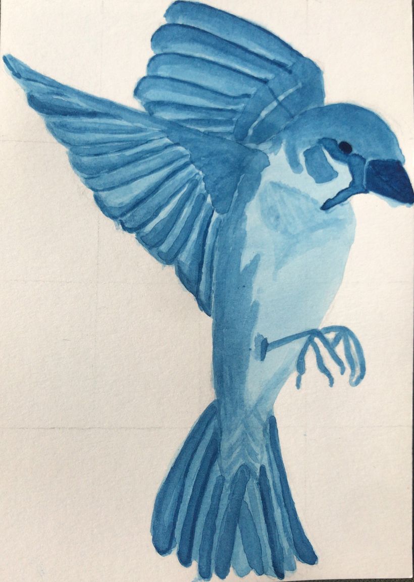 My project in Experimental Watercolor Techniques for Beginners course 7