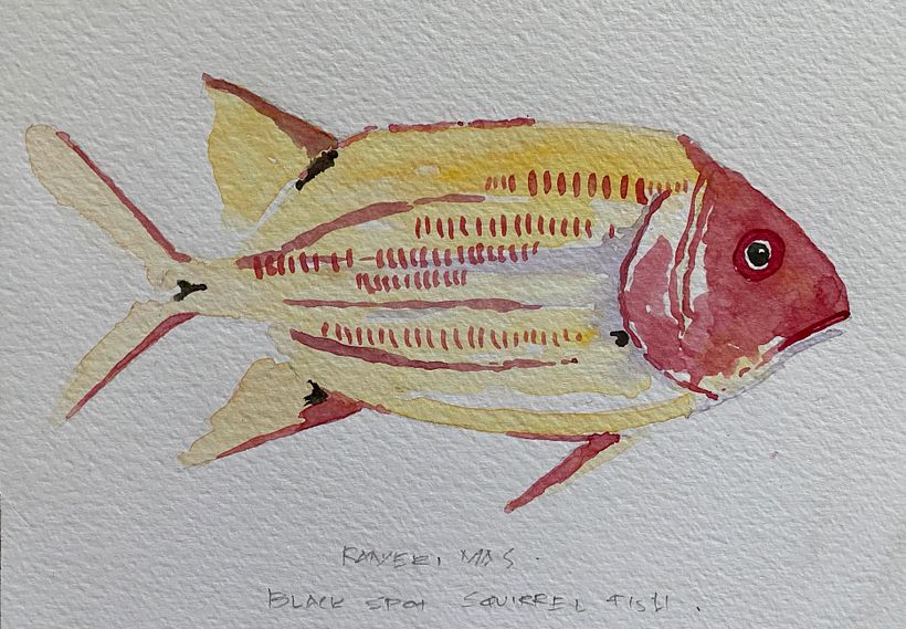 Something Fishy 1