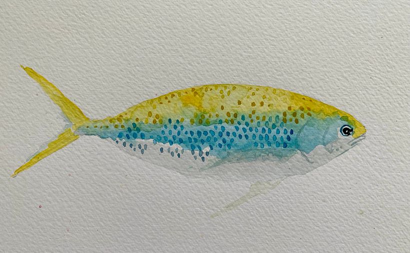 Something Fishy 2