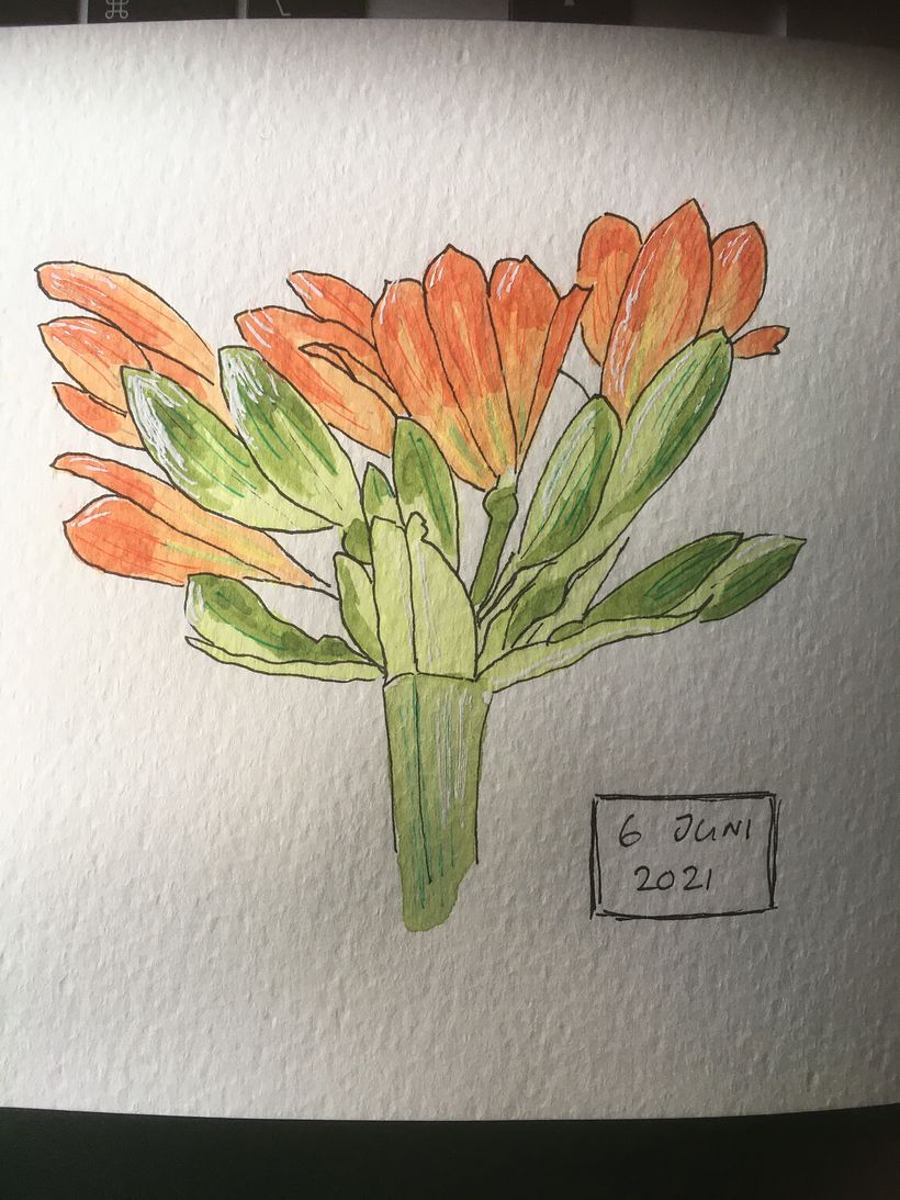 My project in Botanical Sketchbooking: A Meditative Approach course 5