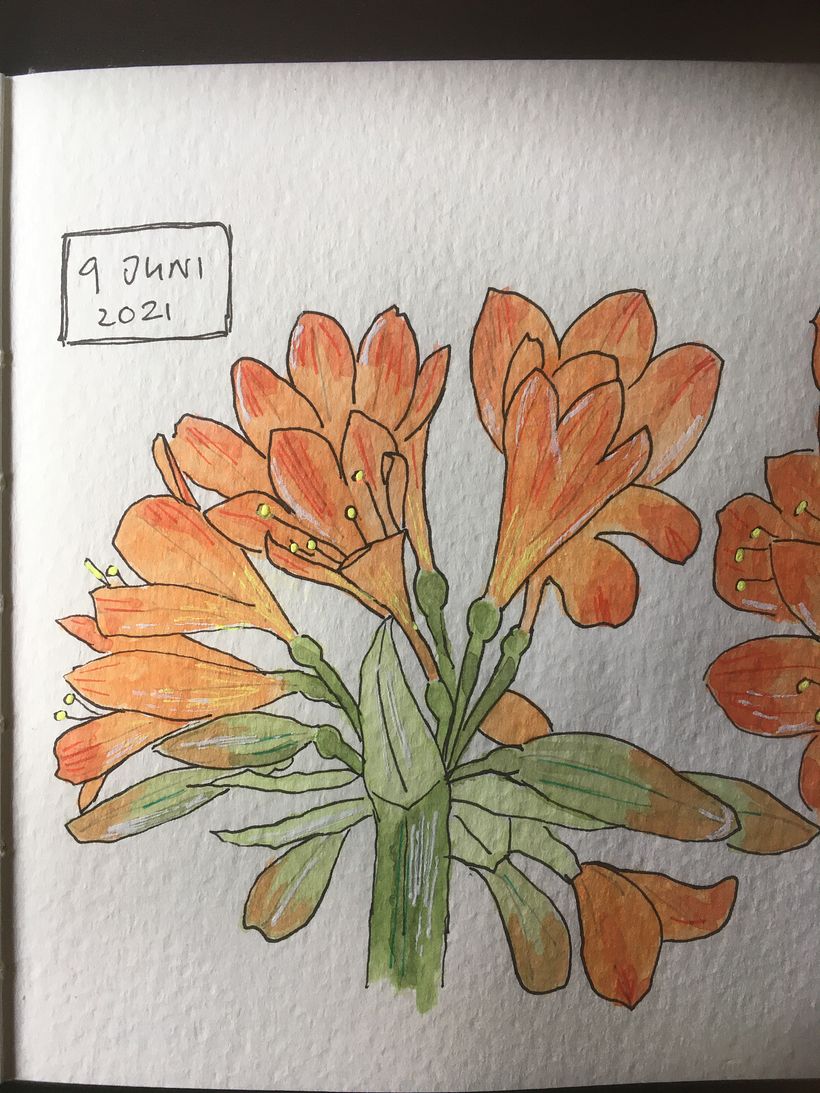 My project in Botanical Sketchbooking: A Meditative Approach course 6