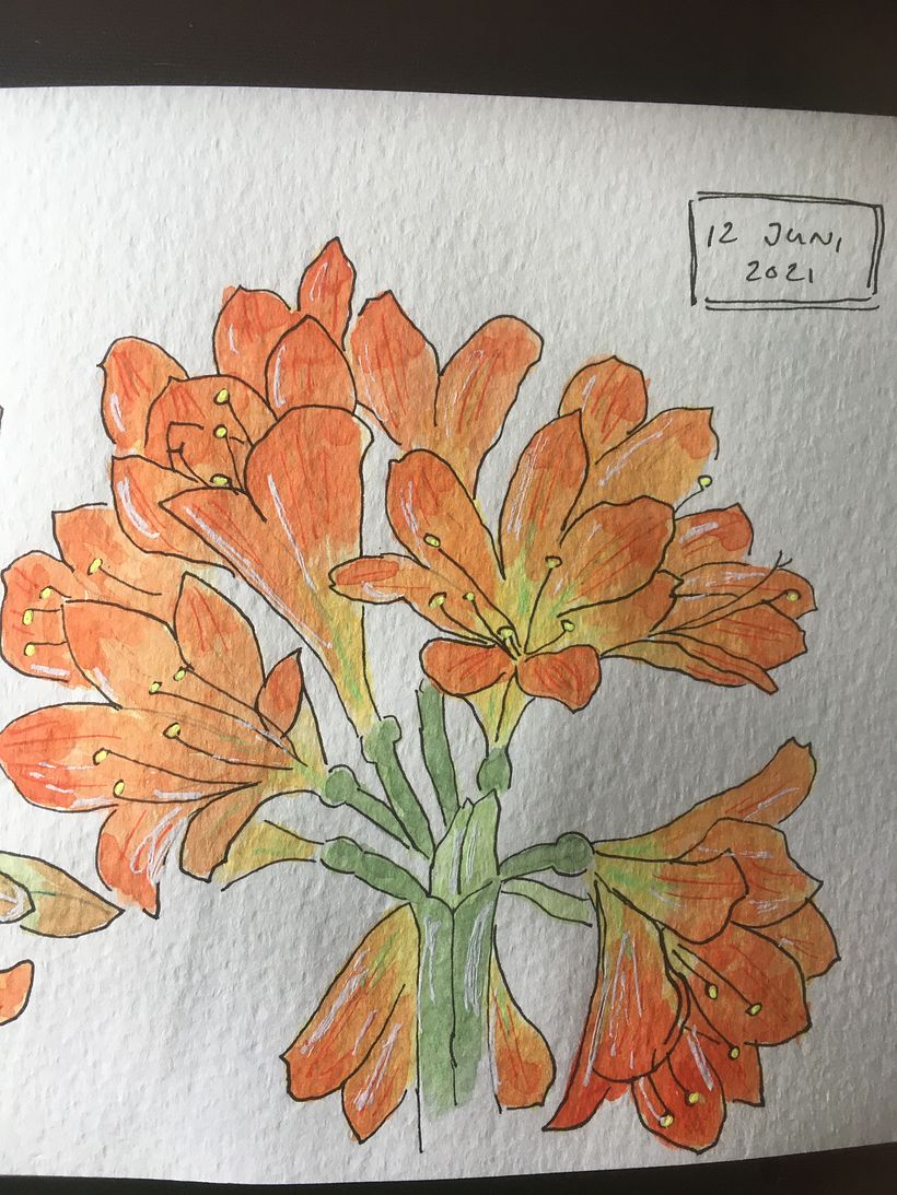 My project in Botanical Sketchbooking: A Meditative Approach course 7