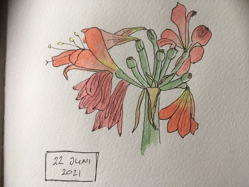 My project in Botanical Sketchbooking: A Meditative Approach course 9