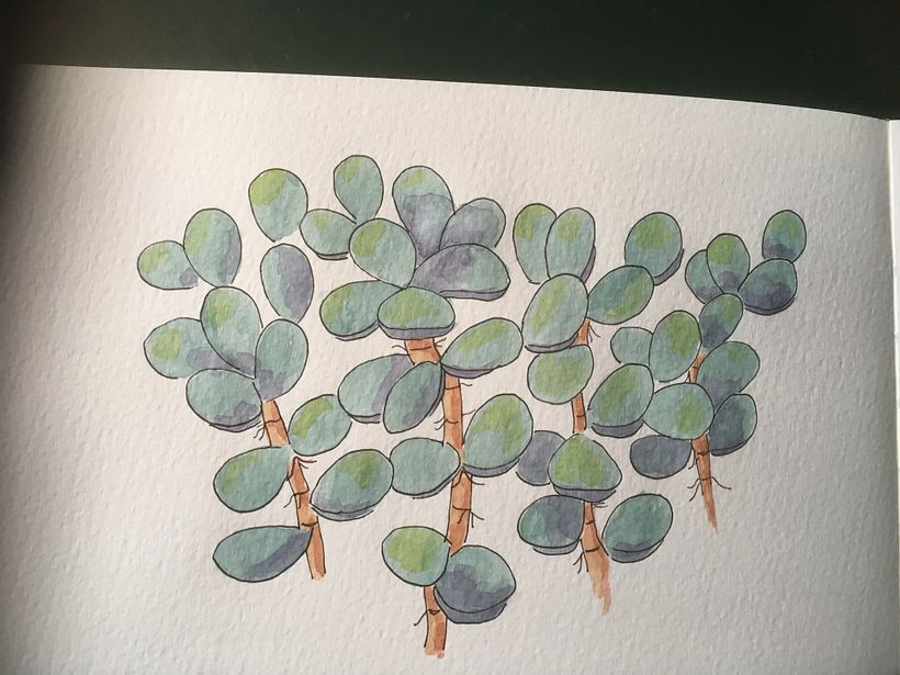 My project in Botanical Sketchbooking: A Meditative Approach course 2