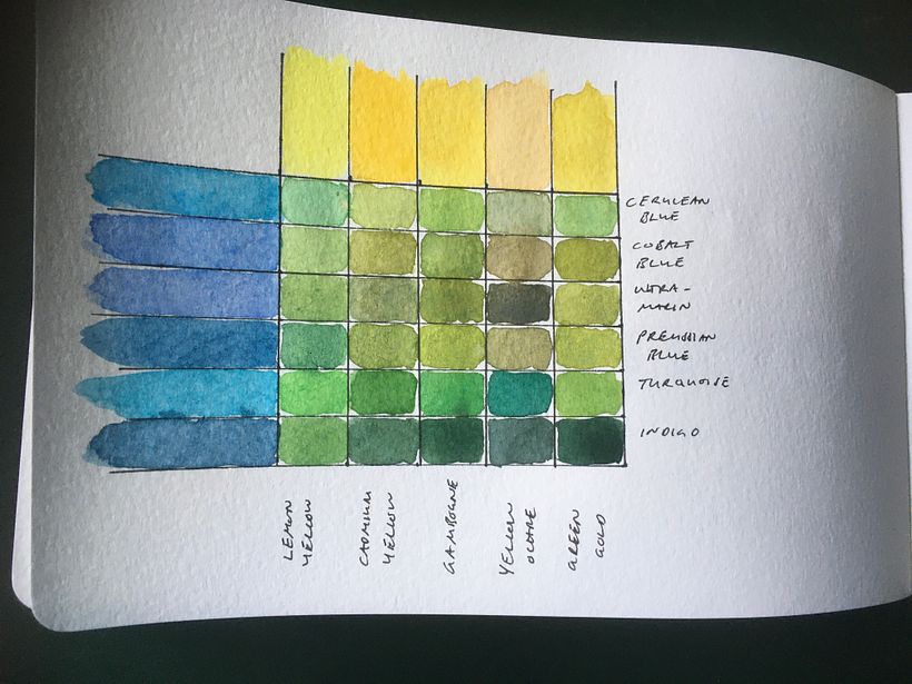My project in Botanical Sketchbooking: A Meditative Approach course 1