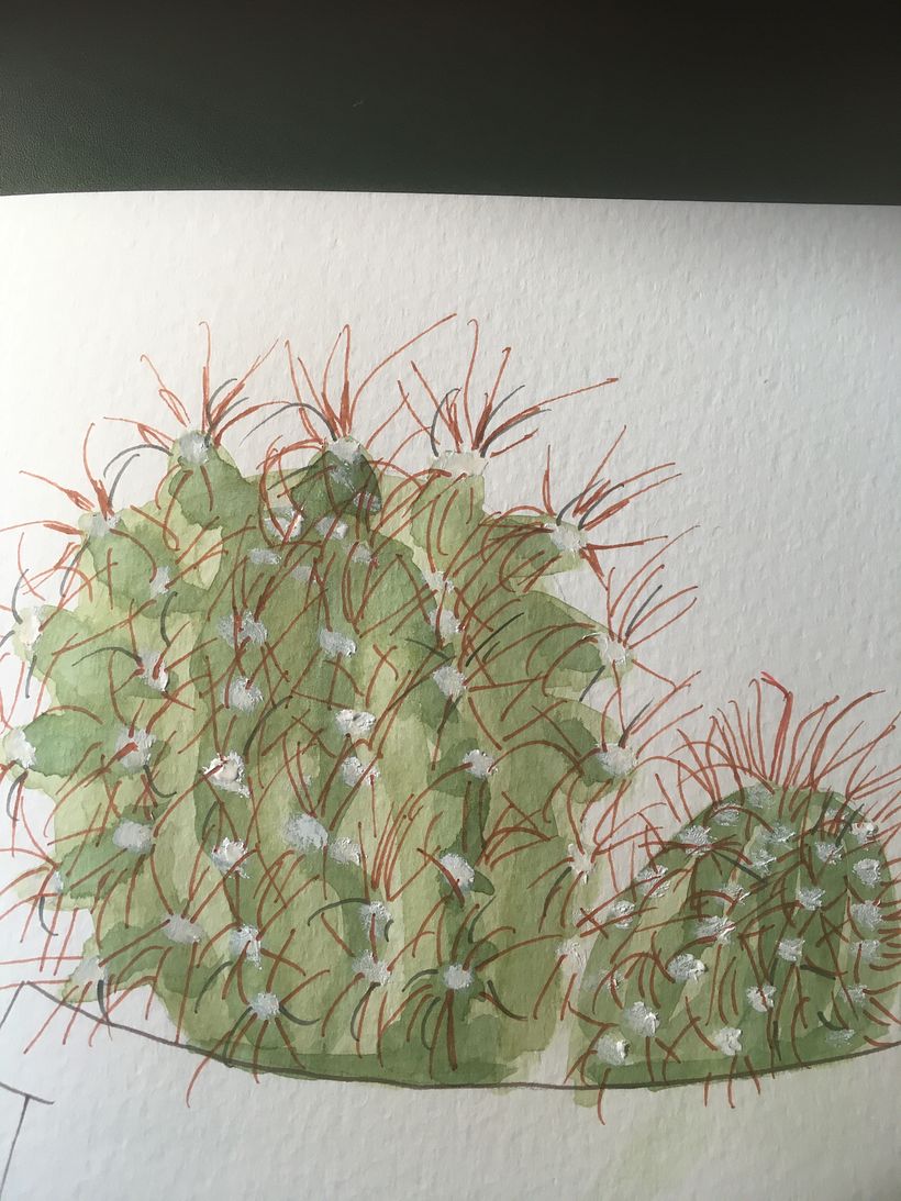 My project in Botanical Sketchbooking: A Meditative Approach course 3