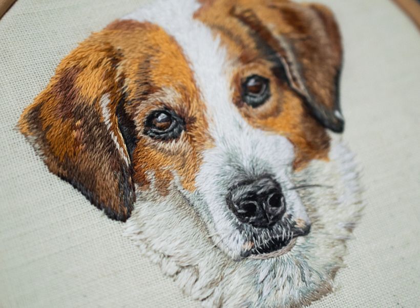 Pet Portraiture  5
