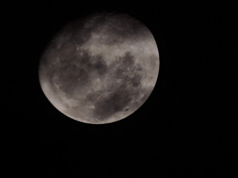 Fotografias autorais da natureza 3