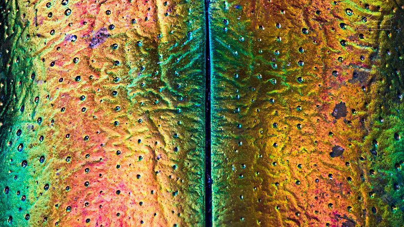 Sagra Speciosa Arcoíris, MACRO EXTREMO 5