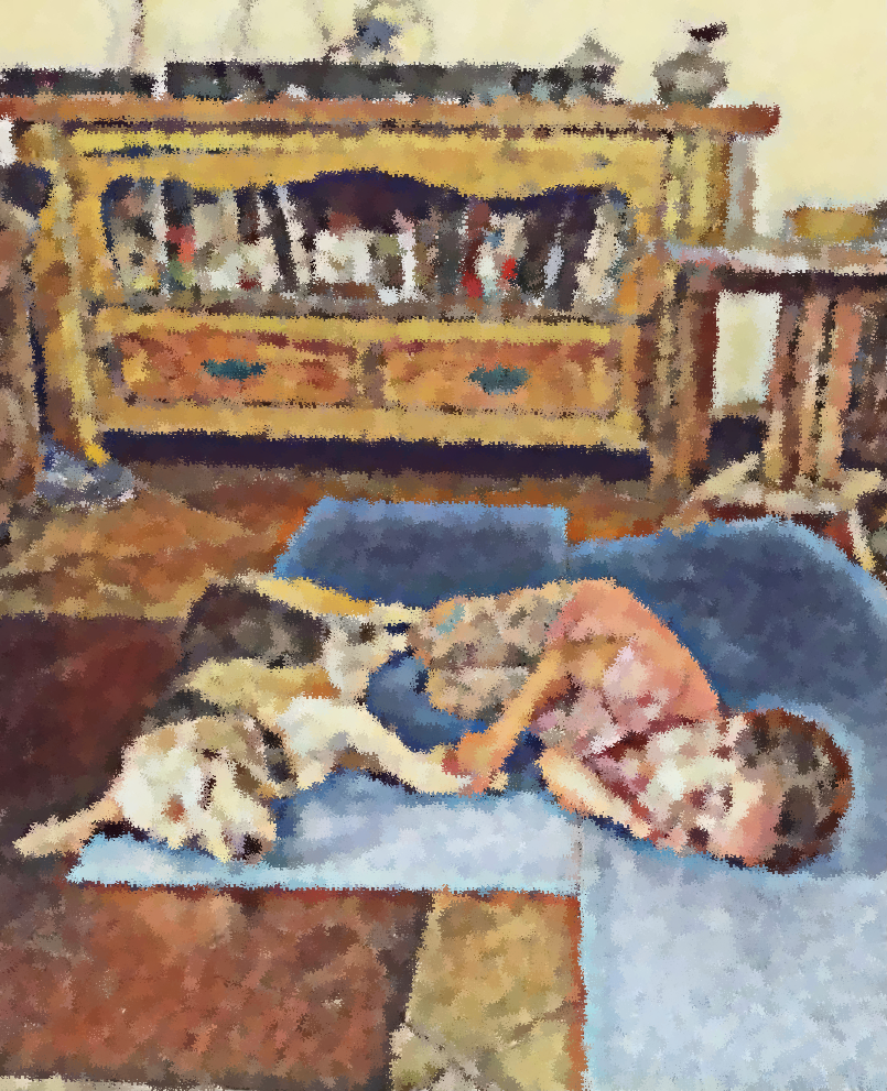 Depois de um bom tempo a parceria ainda continua, só que agora a cama está maior...