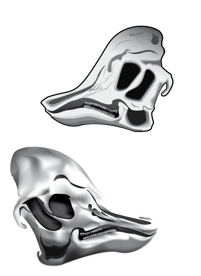 Corythesaurus casuarius