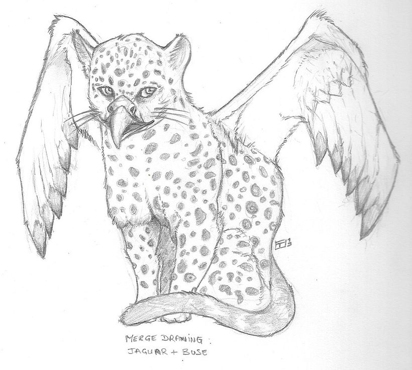 sketchbook 6
