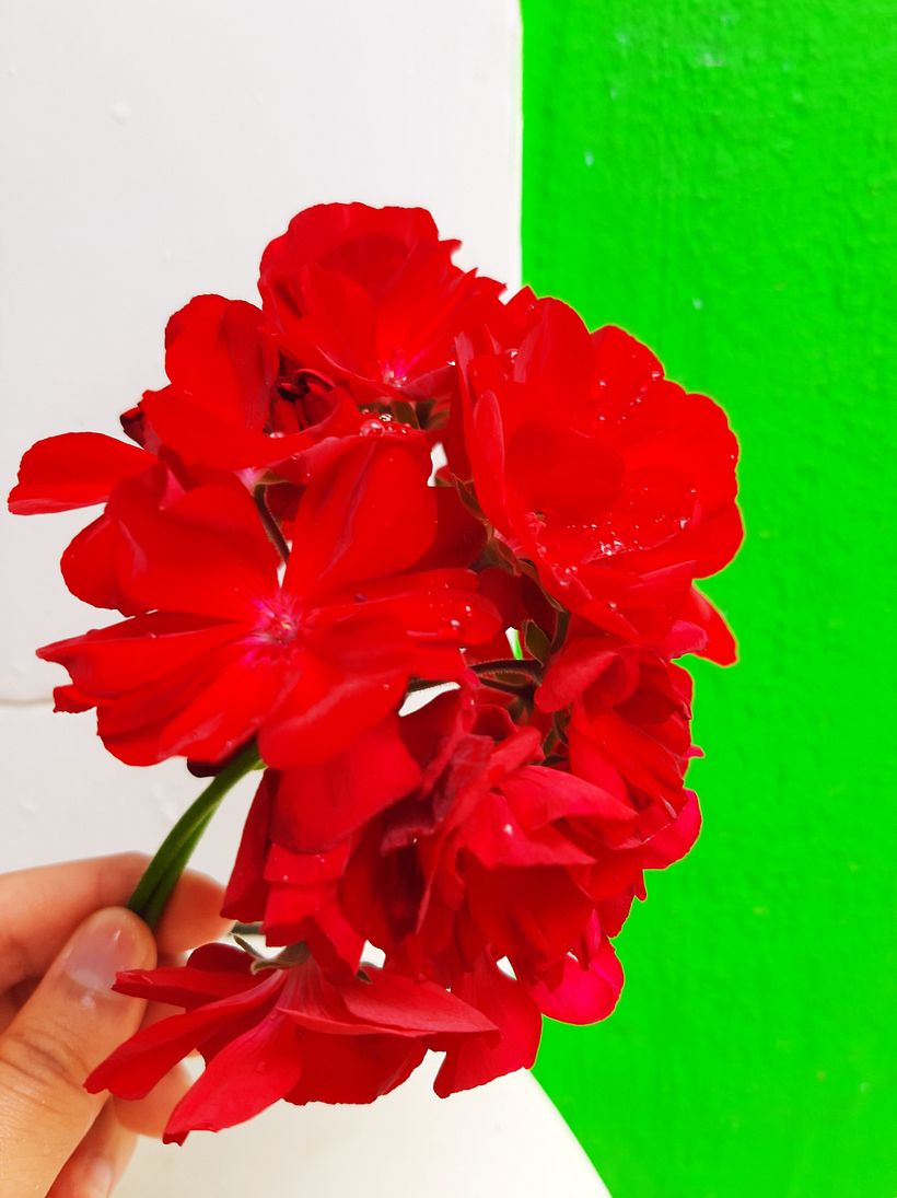 Fotografía profesional para Instagram 3