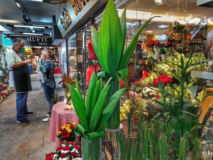 Flores e plantas