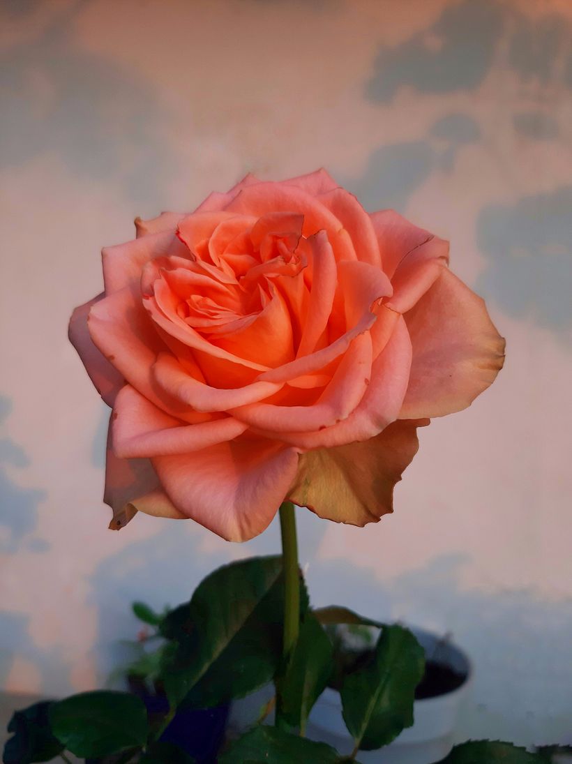 Fotografía profesional para Instagram 5