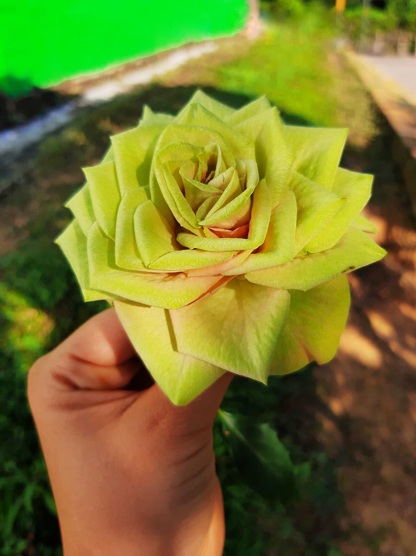 Fotografía profesional para Instagram 7
