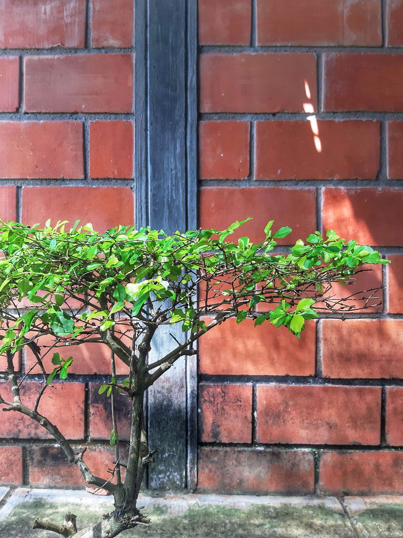 Fotografía profesional para Instagram 9