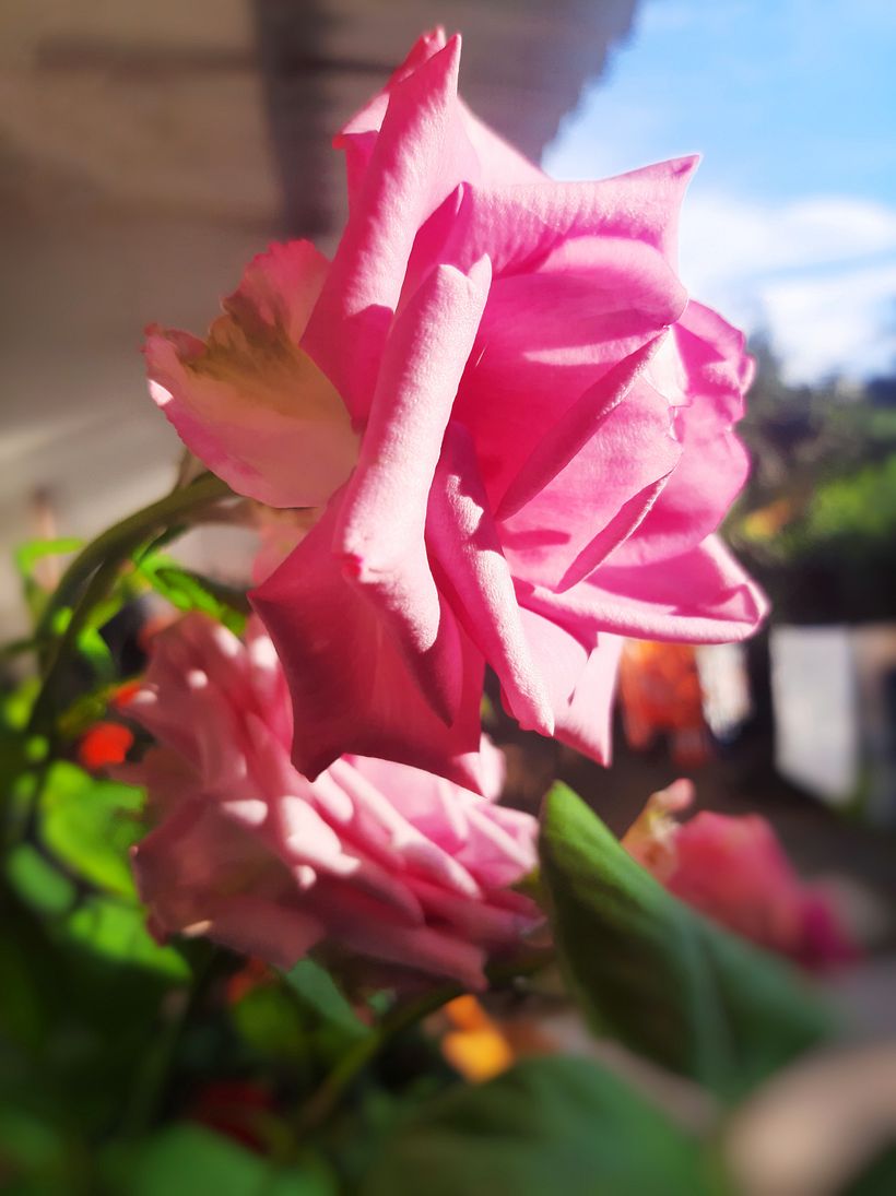 Fotografía profesional para Instagram 10