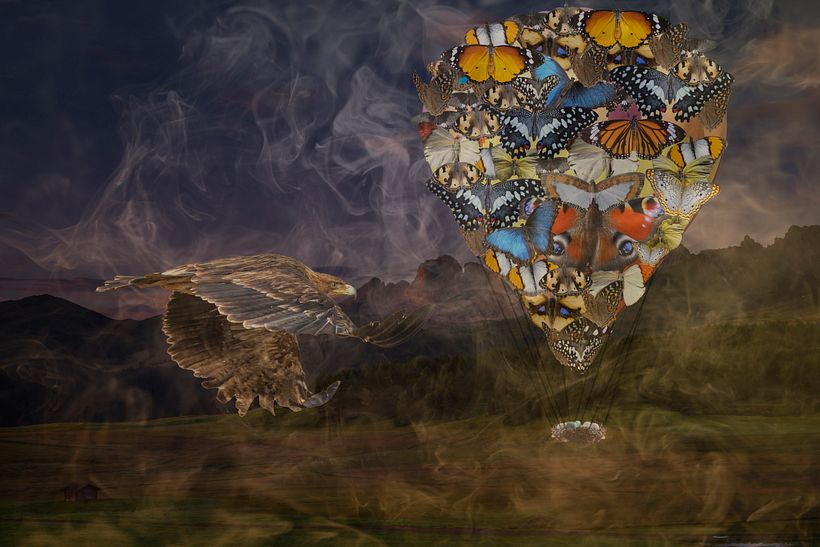 My project in Magical Photomontage in Photoshop: Creating Visual Metaphors course 2
