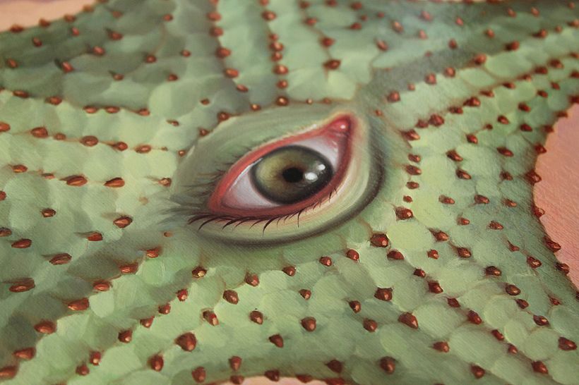 Starfish Reborn, detail