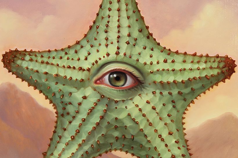 Starfish Reborn, detail