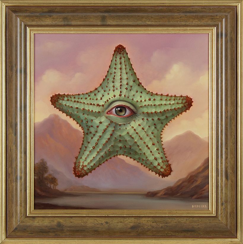 Starfish Reborn