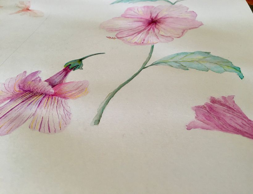 Watercolour floral elements 