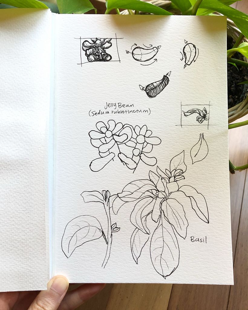 My project in Daily Sketching for Creative Inspiration course 3
