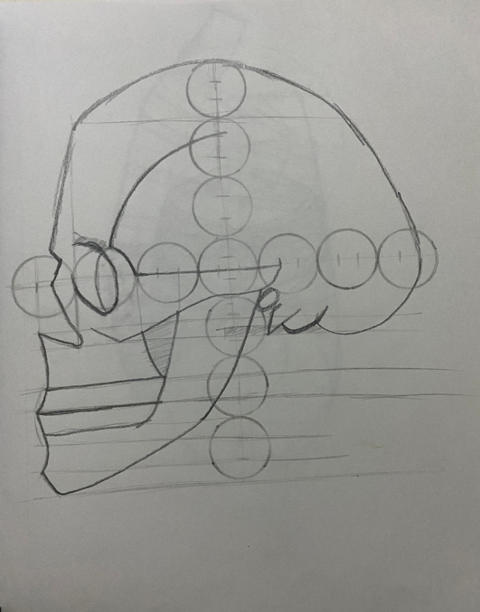 Dibujo anatómico para principiantes 10