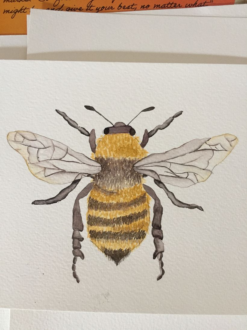 My course project : Drawing and naturalistic composition in watercolor 8