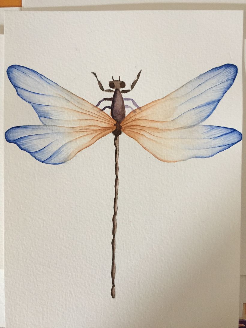 My course project : Drawing and naturalistic composition in watercolor 4