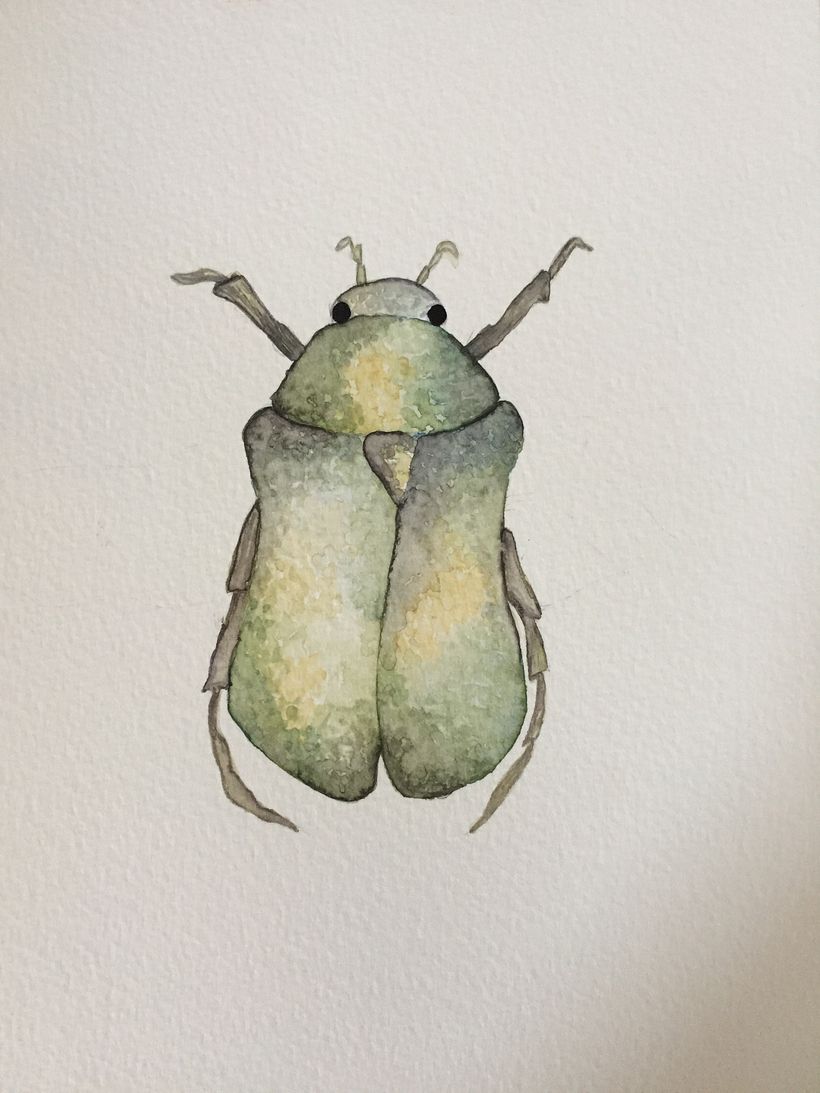 My course project : Drawing and naturalistic composition in watercolor 5