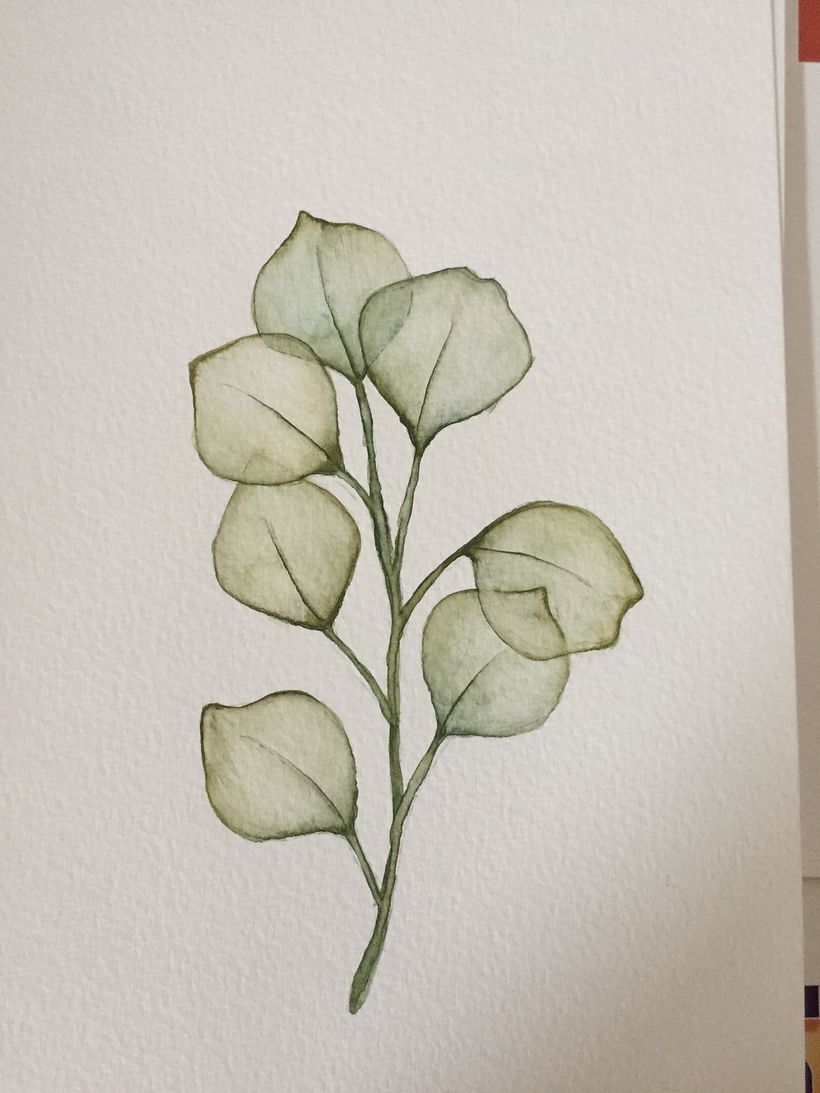 My course project : Drawing and naturalistic composition in watercolor 3