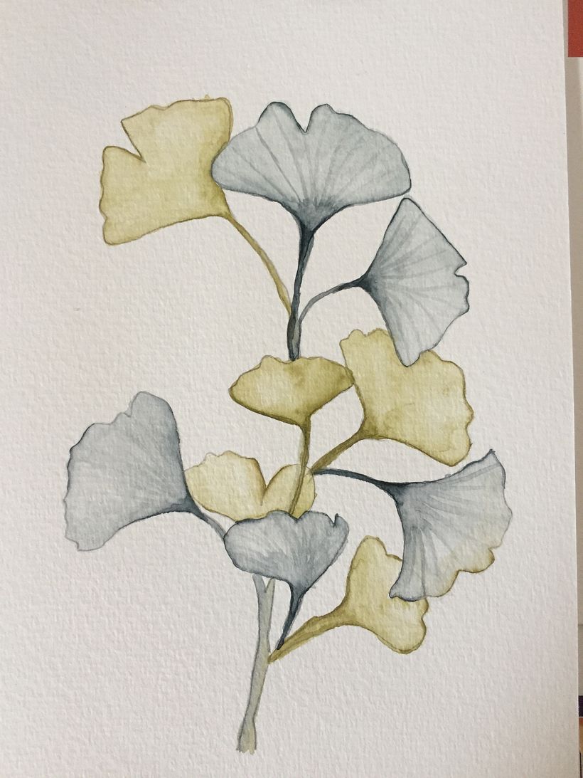 My course project : Drawing and naturalistic composition in watercolor 9