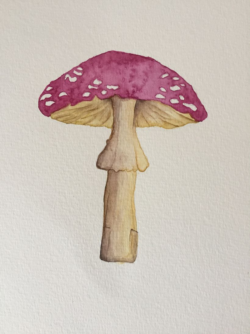 My course project : Drawing and naturalistic composition in watercolor 7