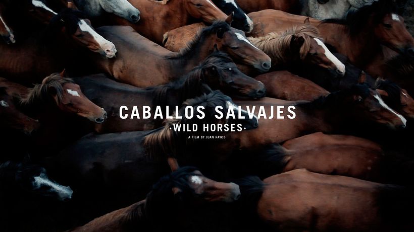 Caballos Salvajes 7