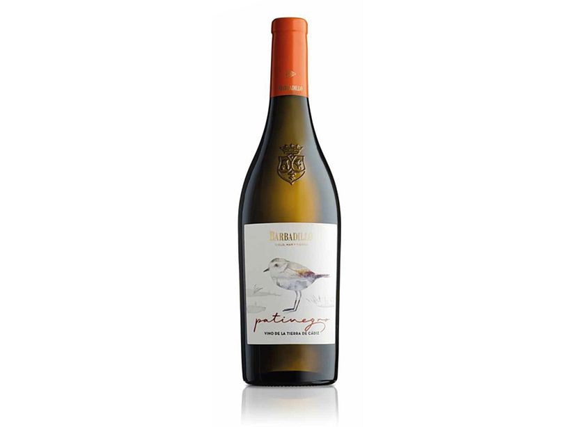 For Adolfo Serra, a label is an explanatory medium.