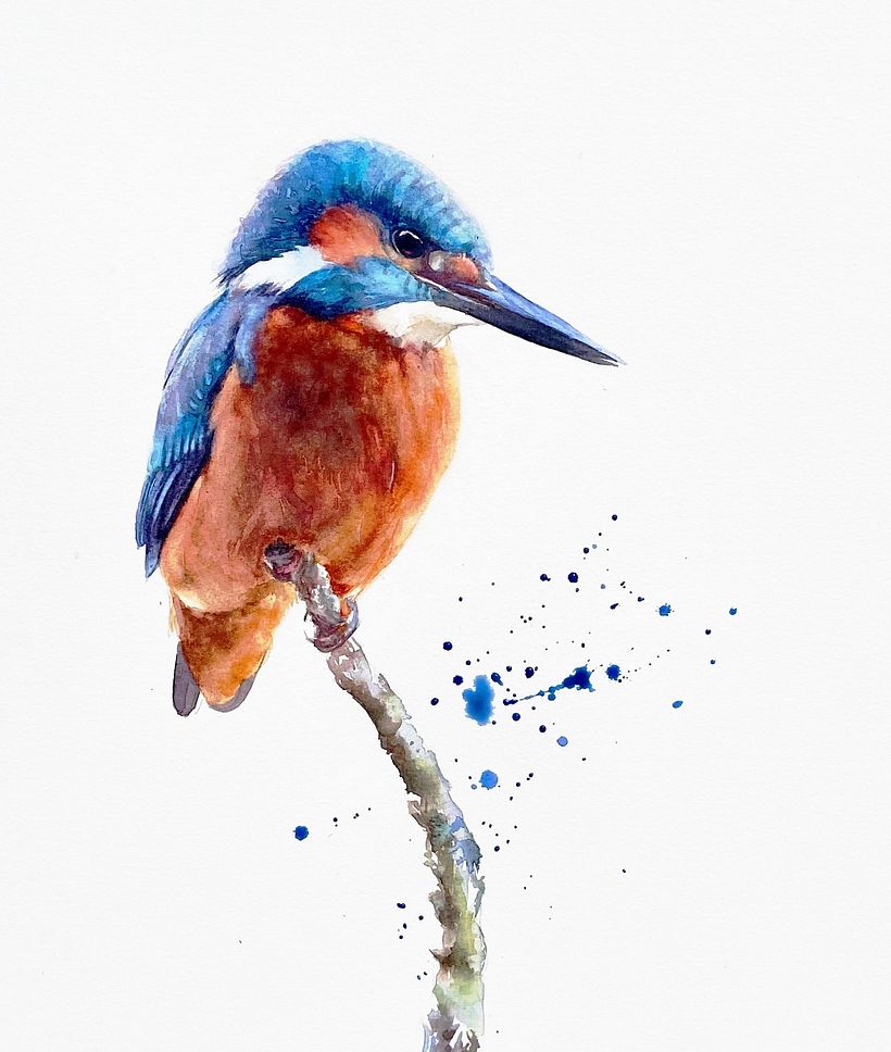 Colors and shading give a painterly feel to this bird.